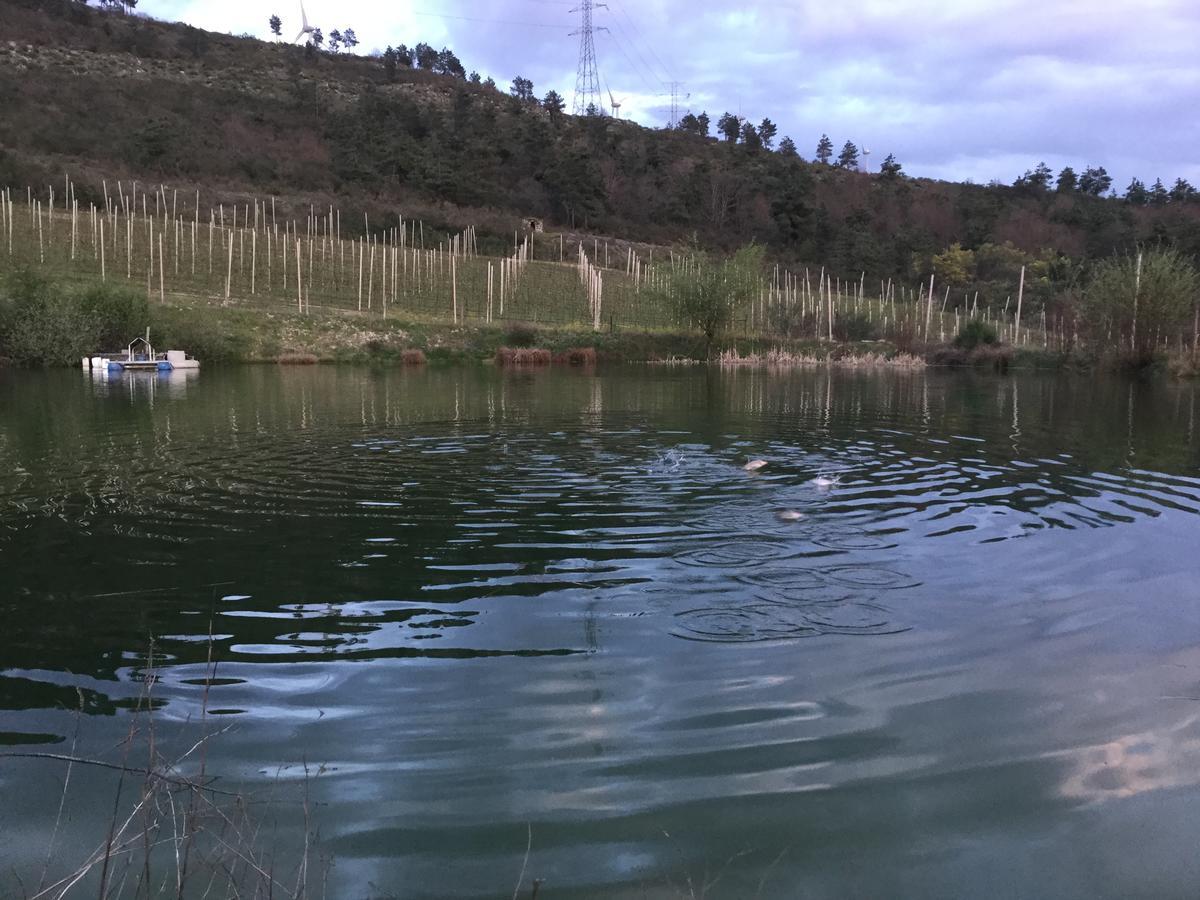 Quinta Bemboa Turismo Espaco Rural Aricera Eksteriør bilde