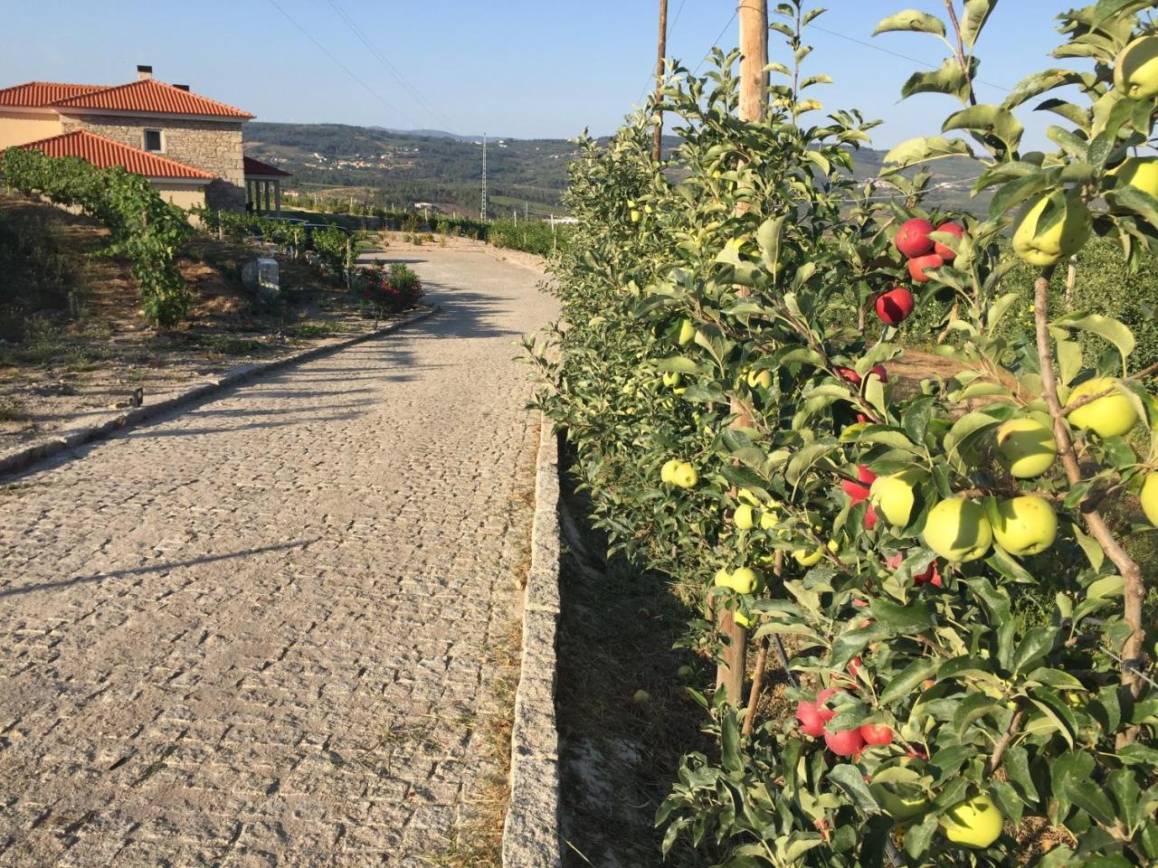 Quinta Bemboa Turismo Espaco Rural Aricera Eksteriør bilde