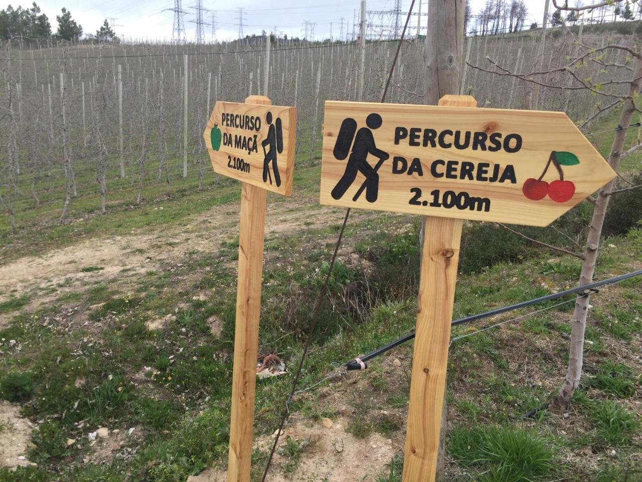 Quinta Bemboa Turismo Espaco Rural Aricera Eksteriør bilde