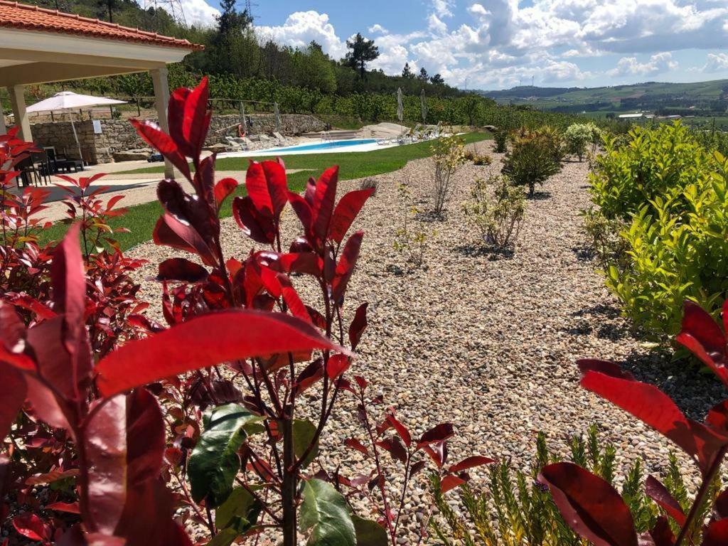 Quinta Bemboa Turismo Espaco Rural Aricera Eksteriør bilde