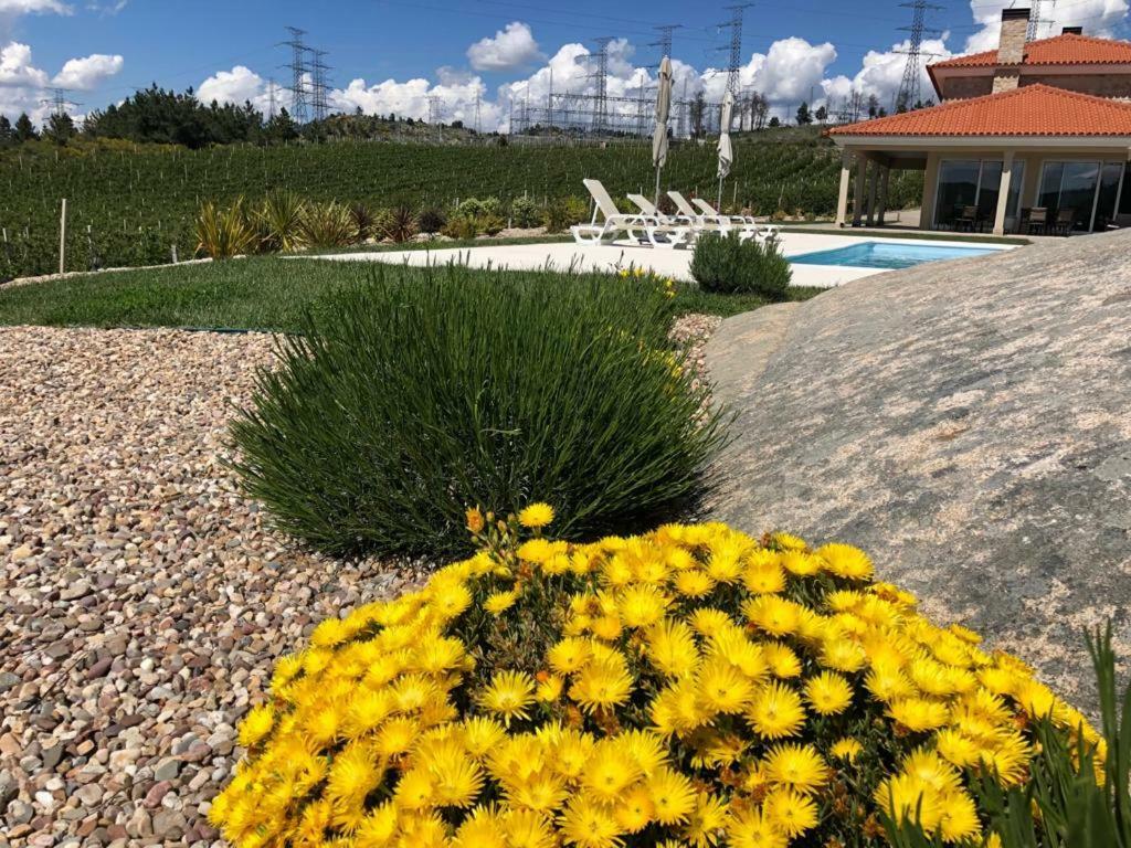 Quinta Bemboa Turismo Espaco Rural Aricera Eksteriør bilde